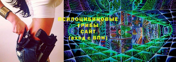 PSILOCYBIN Абаза