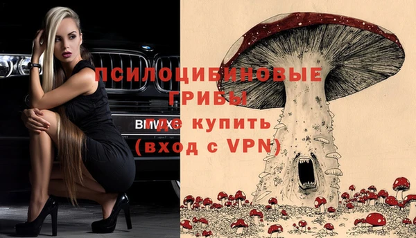 PSILOCYBIN Абаза