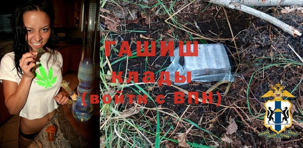 PSILOCYBIN Абаза