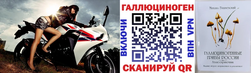 Галлюциногенные грибы мицелий  Нюрба 